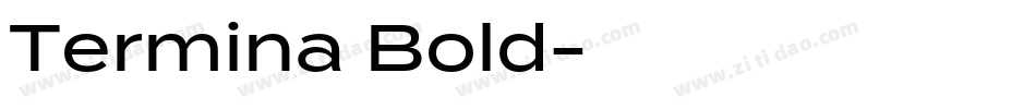 Termina Bold字体转换